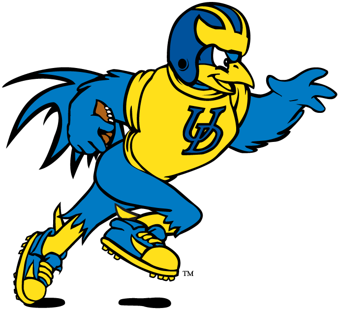 Delaware Blue Hens 1993-Pres Mascot Logo v9 DIY iron on transfer (heat transfer)